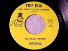 The CAMEL DRIVERS The Grass Looks Greener AWESOME GARAGE PSYCH GROOVE 45   HEAR