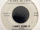 UNDOCUMENTED NY PUNK 45 I Can't Stand It HEAR IT private press/no band name RAW