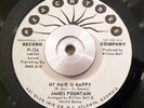 Soul/Funk 45 James Fountain - My Hair Is Nappy PEACHTREE DJ WL Promo EX Rare
