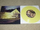 The Story So Far / Morgan Foster 
