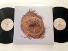 Wilco – A Ghost Is Born   Rare 1st Press - 2004 Nonesuch 2LP Gatefold W/ Inners