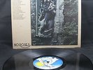 SHIRLEY COLLINS & THE ALBION BAND - 