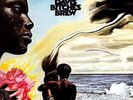 Miles Davis - Bitches Brew +++Music On Vinyl 180g  2 LPs ++++NEU+++OVP