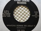 MIAMI 60'S GARAGE BAND THE EVIL 45 WHATCHA GONNA DO ABOUT IT LIVING LEGEND  HEAR