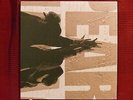 2LP Pearl Jam Ten    88697413021