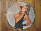 SAMANTHA FOX II LP Limited Edition Interview Picture Disc NUDE Vinyl Made in UK