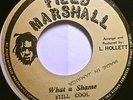 STILL COOL/THE MILITANTS-WHAT A SHAME/STEVE BIKO-FIELD MARSHALL-1978-7