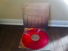 If These Trees Could Talk Red Forest Caspian