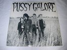Pussy Galore debut 1986 EP Groovy Hate Fuck jon spencer blues explosion mint