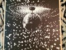 NEIL YOUNG Mirror Ball 2LP Vinyl Rare German Reissue Pearl Jam NEW MINT UNPLAYED