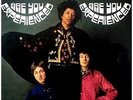 THE JIMI HENDRIX EXPERIENCE LP ARE YOU EXPERIENCED 180 GRS MUSIC ON VINYL MONO