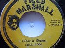 KILLER 45 ROOTS / STILL COOL / WHAT A SHAME / LISTEN