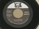 GRAY GHOST BLACK SUNSHINE PIRATE KENNELMUS org US GARAGE FUZZ PSYCH 7