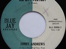 Rare Northern Soul 45 - Jimmy Andrews - Big City Playboy - Happy Guy - BLUE JAY