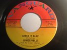 SOUL FUNK 45/ JUNIOR WELLS 