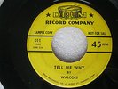 small label doo wop - Walcoes - Tell Me Why - Drum promo