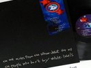 BJORK DEBUT REMIXES LP 1994 ORIGINAL UK VINYL ONE LITTLE INDIAN N.MINT VERY RARE