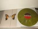 Paramore Brand New Eyes12