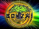 56x Vinyl Bonzai Records, Bonzai Jumps, Bonzai Trance, Hardtrance inkl. Liste