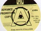 [ALBERT HAMMOND] MIKE HAZLEWOOD FINE WHITE STALLION 1967 UK 