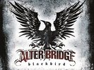 Alter Bridge - blackbird