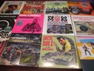 HOT ROD INSTRUMENTALS DICK DALE WRAY DAVIE ALLAN BEACH BOYS + MORE 14 LP SET