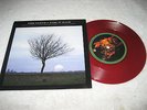 PINK FLOYD - Take It Back - Rare Original 1994 Division Bell 45 PS Red Vinyl