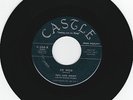 Rare Rockabilly 45 Pete & Jimmy w The Rhythm Knights 'So Wild' on Castle 1958