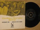 Creedence Clearwater Revival - Fortunate Son - SWEDEN 45 w PS. John Fogerty CCR