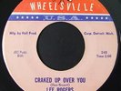 Detroit Northern Soul 45 LEE ROGERS Cracked Up Over You on Wheelsville