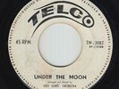 Calypso 45 - Joey Lewis' Orchestra - Under The Moon - Telco - mp3