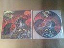 Acid Witch Stoned Picture Disk LP Hooded Menace Druid Lord Electric Wizard Doom