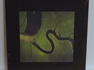 DEAD CAN DANCE The Serpent's Egg 180-gram VINYL LP SEALED/NEW Lisa Gerrard