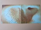 ORIGINAL PINK FLOYD  MEDDLE ENGLISH PRESSING