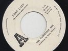 '86 FIREBALL 45 THE FLOWERPOT MEN BEAT CITY/THE BLUE ROOM I'M AFRAID promo ?