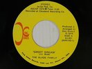 The Blade Family 45 SWEET DREAM / MY BABY'S GONE   VG+ Ohio soul