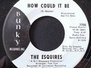 Rare 60's Northern Soul 45 - THE ESQUIRES (Bunky) How Could it Be  *PROMO*