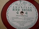 BIRD SOUNDS ,LOTS OF THEM