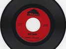 Rare Surf/Hotrod Instrumental 45 Randy Fuller 