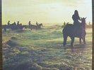 Foals - Holy Fire (2013) LP (MINT)  Top Press     /    Bloc Party, Oasis, Blur