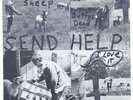 SEND HELP : S*X WITH SHEEP ep ORIGINAL ON MUTHA  KBD CHRONIC SICK RRRRAAARRREE