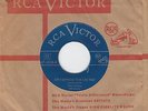 RCA 5228- TERRY TIMMONS- AIN`T SUPPOSED TO BE LIKE THAT-CO. SLEEVE BLUES