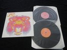 The Black Crowes - Lions 2x LP Vinyl 2001