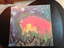 Meat Puppets II LP SST 019 First Original Pressing Nirvana vinyl