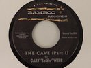 *Rare Garage Surf GARY 