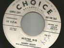 ROCKABILLY  bw/ TEEN - SANDY SCOTT -  MISTER BIG --HEAR BOTH- 1957 PROMO CHOICE