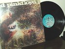 PINK FLOYD -LP 