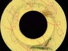 1965 SKA - I'M IN LOVE - THE RIOTS - WHEN YOU ARE WRONG # FDR 6515 - Sound Clip