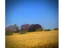 Sun Kil Moon 
