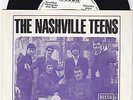 7 45 The Nashville Teens -The Biggest night of her life RARE weisse Promo NM Con